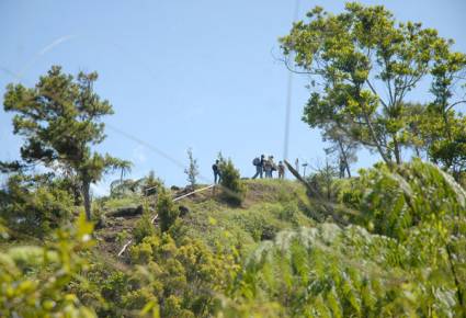 Resiembra de bosques y humedales