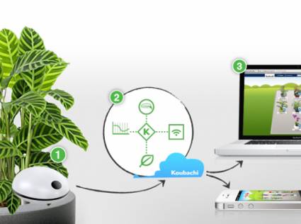 Wi-fi para plantas