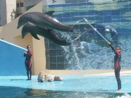 Acuario Nacional