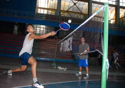 Federación Internacional de Bádminton