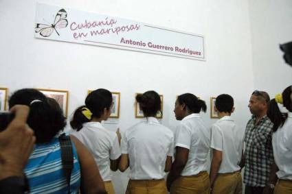 Exposición Cubanía en mariposas