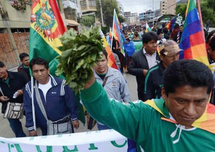 Bolivia festeja reconocimiento de ONU al mascado de coca - Juventud Rebelde - Diario de la juventud cubana