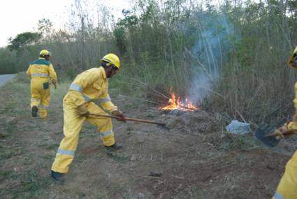 Incendios forestales   