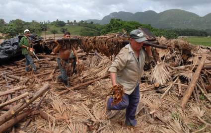 Daños causados por las inundaciones