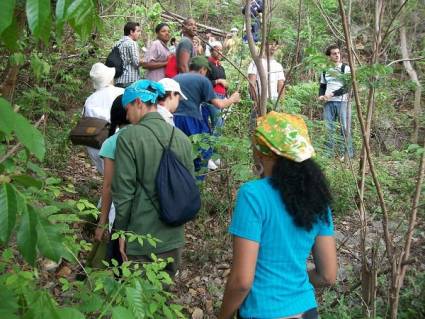 Estudiantes de la Universidad de la Habana en la Sierra del Rosario
