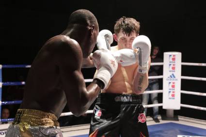 Serie Mundial de Boxeo