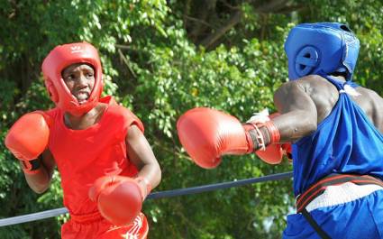 Copa de boxeo escolar