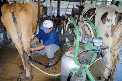 Estaciones de leche