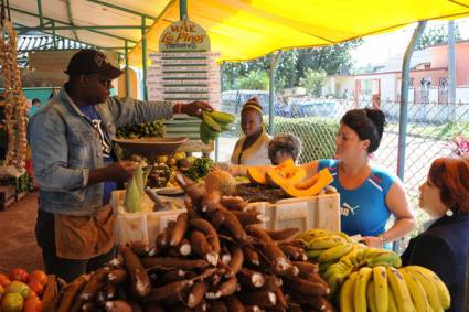 Mercado de los Pinos