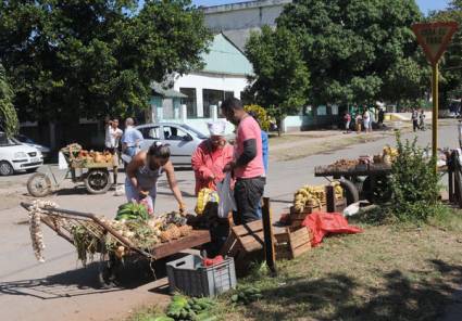 Mercados agropecuarios 