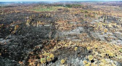 Extinguido segundo fuego en San Felipe