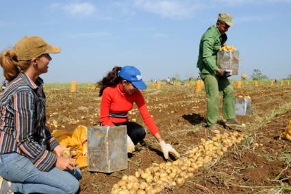  XV Movilización Agrícola