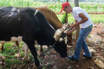  Primera Feria Nacional Docente Agropecuaria y Azucarera