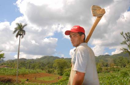 UJC en la producción de alimentos