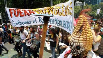 Protestas en México contra la trasnacional Monsanto