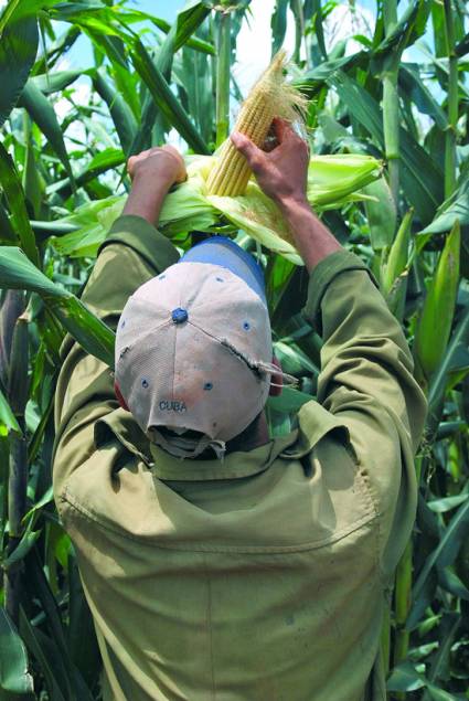 Proyecto de Desarrollo Rural Cooperativo en la Región Oriental 