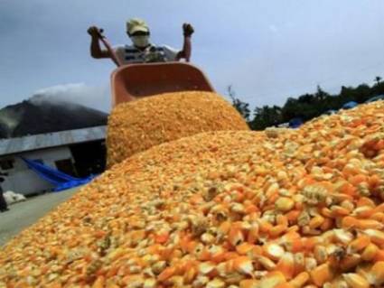 Producción agropecuaria