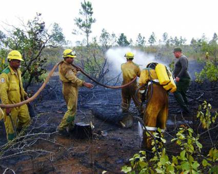 Controlados, pero no sofocados, los incendios aledaños a la meseta de San Felipe (Más fotos)