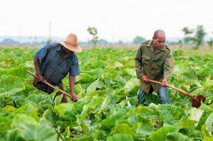 Agricultores