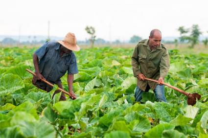 Agricultores