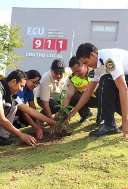 Siembra de árboles en Ecuador