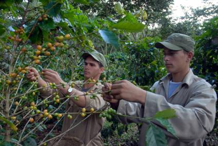 Nuevos precios para los productores agropecuarios