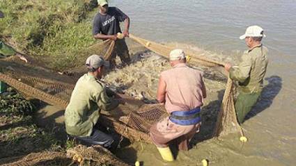 Pescado al por menor