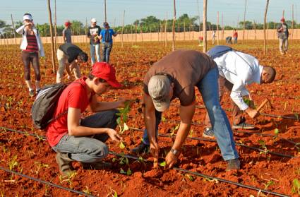 Jornada productiva