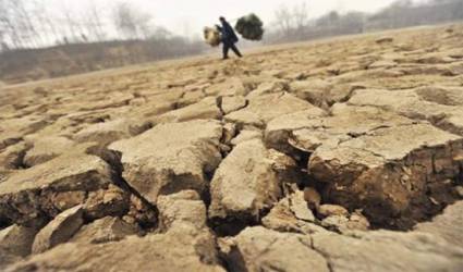 La tierra se encuentra altamente degradada