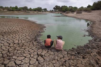 Efectos del cambio climático