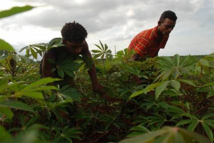 Campesinos cubanos