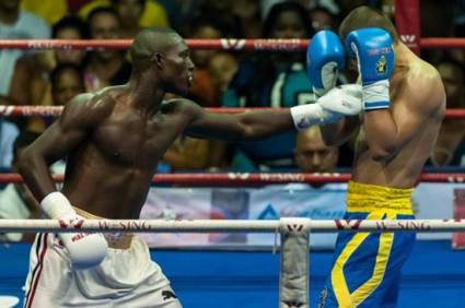 Domadores «pasean» por Estambul