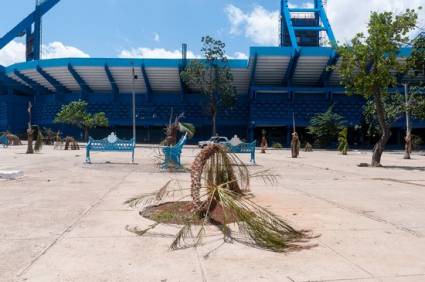 Jardinería maltratada