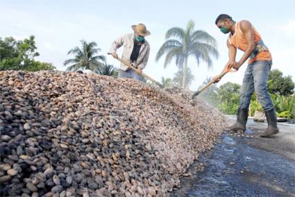 El cultivo de la tierra