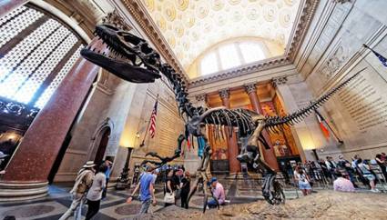 American Museum of Natural History of New York