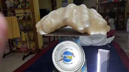 La perla natural mas grande del mundo