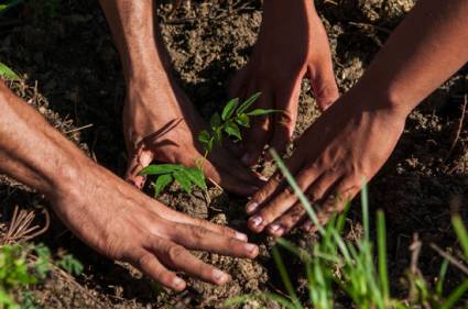 Proceso productivo agropecuario 