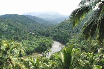 El Parque Nacional Alejandro de Humboldt 