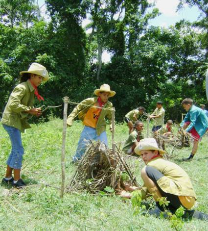 Pioneros exploradores