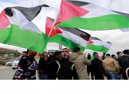 Celebran palestinos resolución