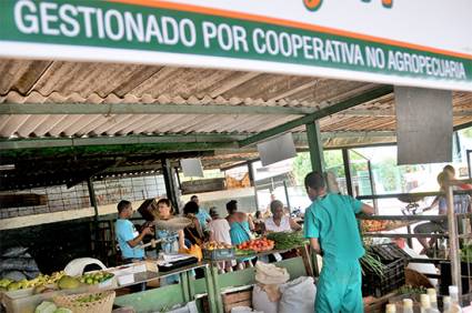 Comercio Mayorista