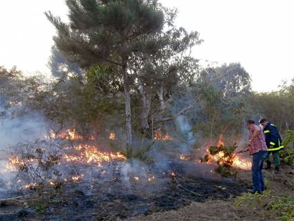 Incendio en la isla