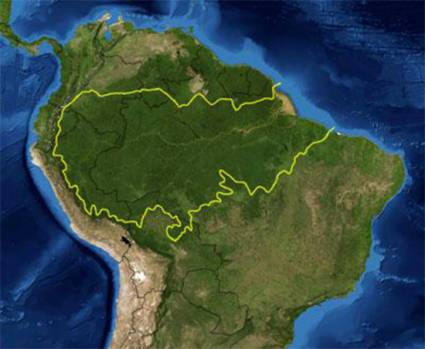 Amazonía brasileña