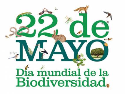 Día mundial de la biodiversidad
