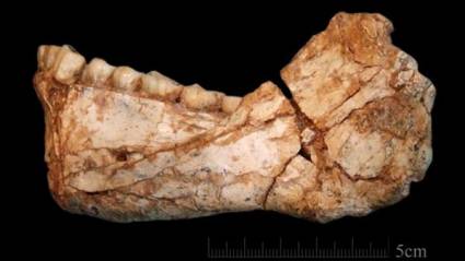 La datación de esta mandíbula de Homo Sapines podría reescribir el origen de nuestra especie.¡
