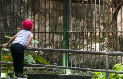 El sitio acoge recorridos guiados, un parque de diversiones, fotografías con animales y muchas otras opciones