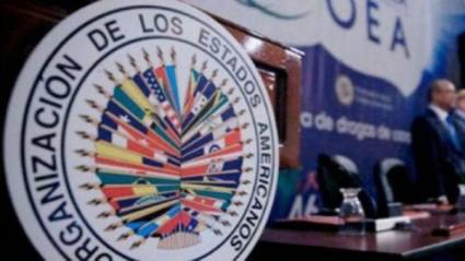 Informe de la OEA sobre elecciones en Bolivia