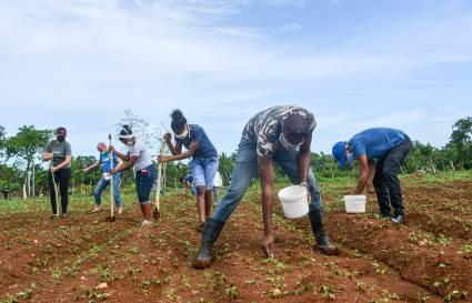 Jóvenes en el campo