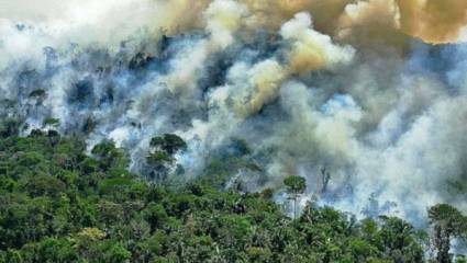 Los incendios han devorado casi 200 000 acres
