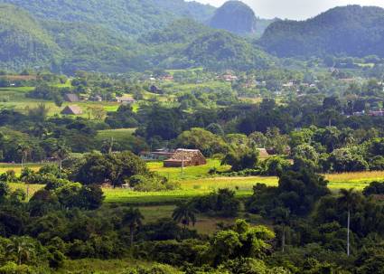 La naturaleza